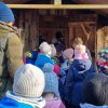 02 Aktion Februar 25 Tiere im Winterwald